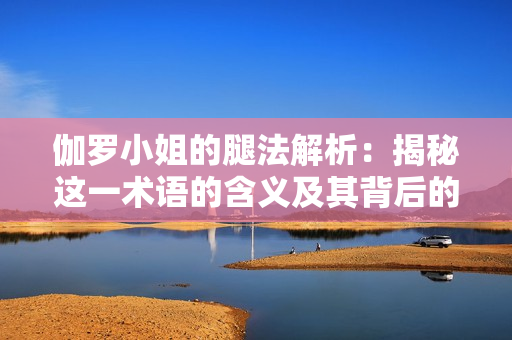 伽罗小姐的腿法解析：揭秘这一术语的含义及其背后的文化内涵