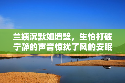 兰姨沉默如墙壁，生怕打破宁静的声音惊扰了风的安眠
