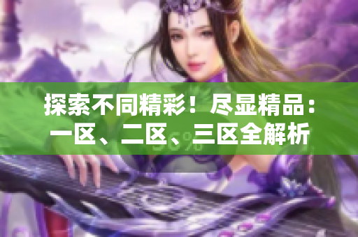 探索不同精彩！尽显精品：一区、二区、三区全解析