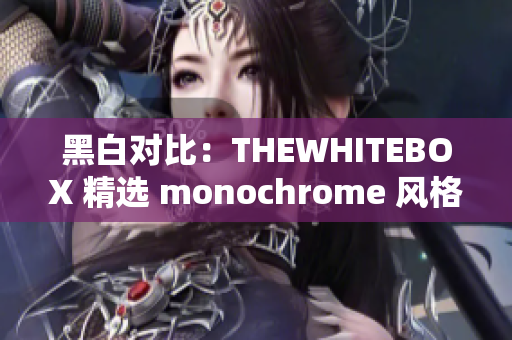 黑白对比：THEWHITEBOX 精选 monochrome 风格