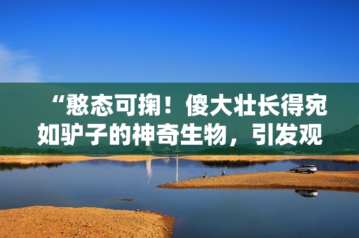 “憨态可掬！傻大壮长得宛如驴子的神奇生物，引发观众热议”