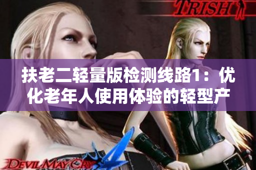 扶老二轻量版检测线路1：优化老年人使用体验的轻型产品检测路径