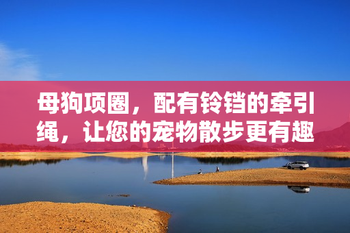 母狗项圈，配有铃铛的牵引绳，让您的宠物散步更有趣