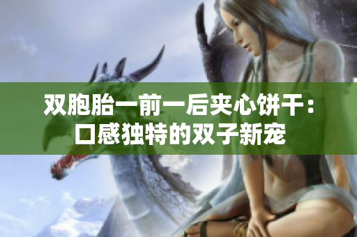 双胞胎一前一后夹心饼干：口感独特的双子新宠