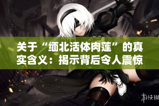 关于“缅北活体肉莲”的真实含义：揭示背后令人震惊的秘密和相关问题