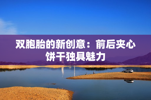 双胞胎的新创意：前后夹心饼干独具魅力
