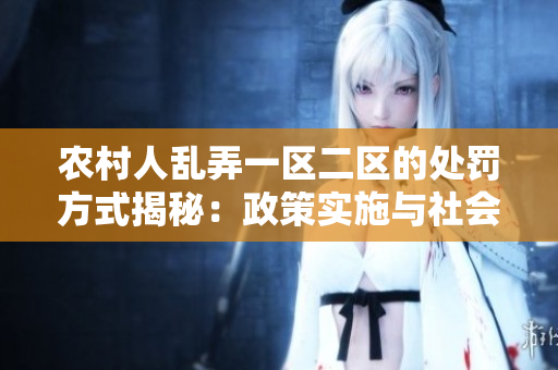 农村人乱弄一区二区的处罚方式揭秘：政策实施与社会反响解析