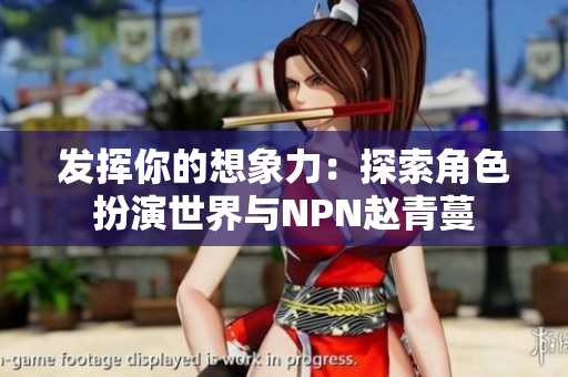 发挥你的想象力：探索角色扮演世界与NPN赵青蔓
