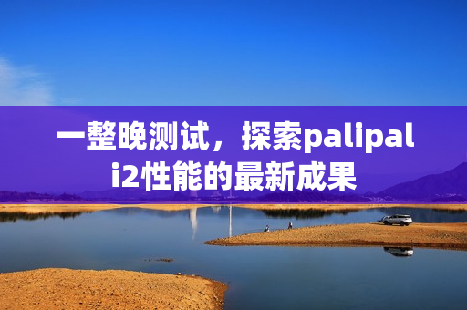 一整晚测试，探索palipali2性能的最新成果