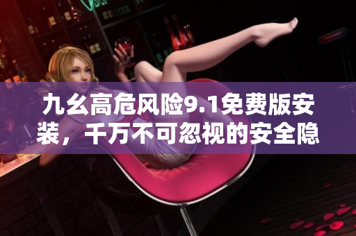 九幺高危风险9.1免费版安装，千万不可忽视的安全隐患【详细安装指南】