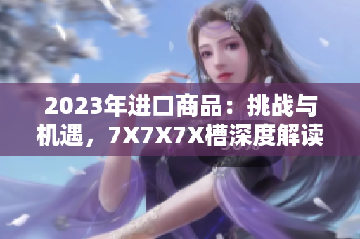 2023年进口商品：挑战与机遇，7X7X7X槽深度解读