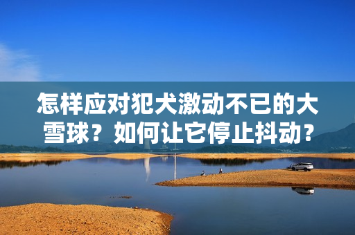 怎样应对犯犬激动不已的大雪球？如何让它停止抖动？