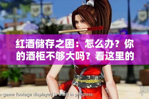 红酒储存之困：怎么办？你的酒柜不够大吗？看这里的1v2解决方案!