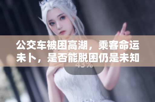 公交车被困高湖，乘客命运未卜，是否能脱困仍是未知数