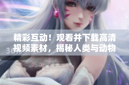 精彩互动！观看并下载高清视频素材，揭秘人类与动物的奇妙互动