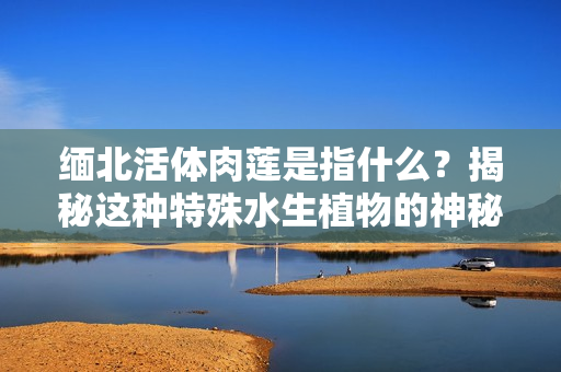 缅北活体肉莲是指什么？揭秘这种特殊水生植物的神秘之处