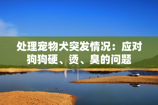处理宠物犬突发情况：应对狗狗硬、烫、臭的问题