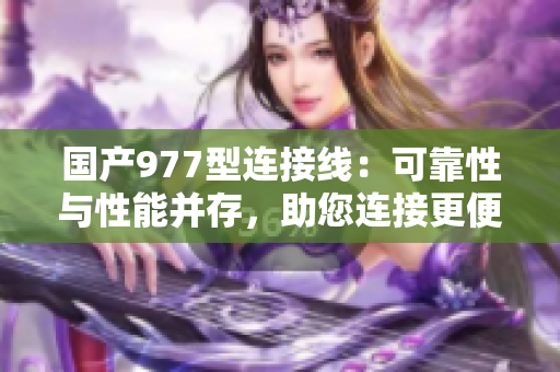 国产977型连接线：可靠性与性能并存，助您连接更便捷