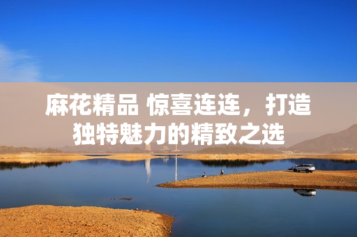 麻花精品 惊喜连连，打造独特魅力的精致之选