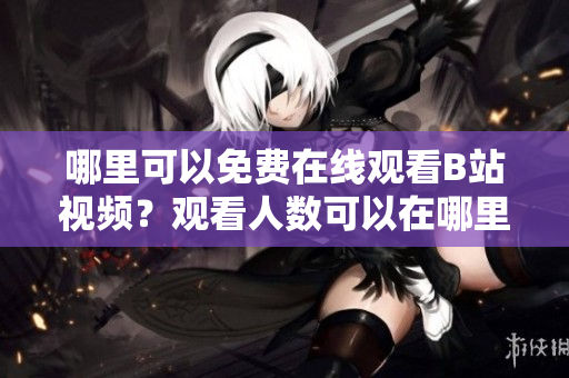哪里可以免费在线观看B站视频？观看人数可以在哪里找到？