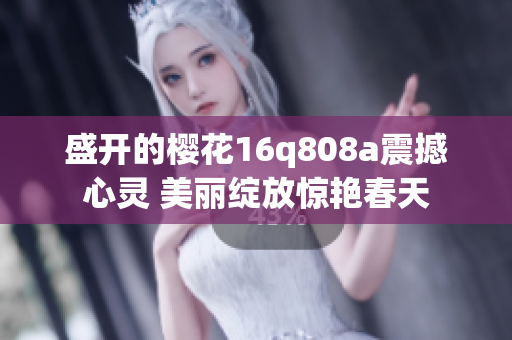 盛开的樱花16q808a震撼心灵 美丽绽放惊艳春天