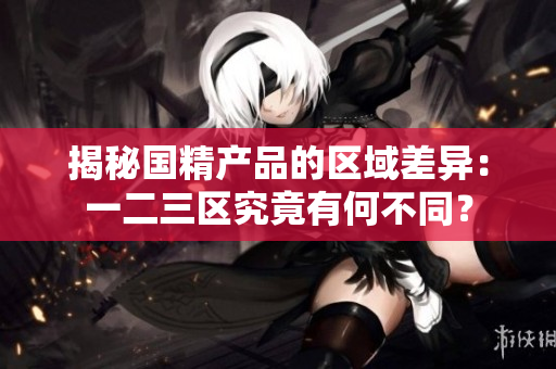 揭秘国精产品的区域差异：一二三区究竟有何不同？