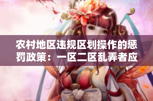 农村地区违规区划操作的惩罚政策：一区二区乱弄者应如何处理