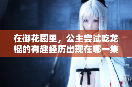 在御花园里，公主尝试吃龙棍的有趣经历出现在哪一集？
