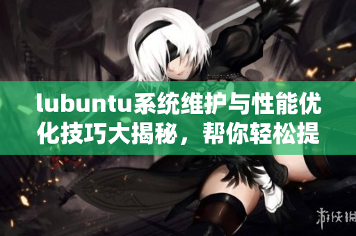 lubuntu系统维护与性能优化技巧大揭秘，帮你轻松提升电脑运行速度