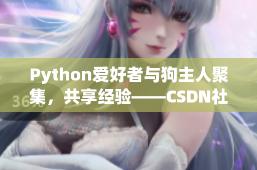 Python爱好者与狗主人聚集，共享经验——CSDN社区探索