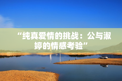 “纯真爱情的挑战：公与淑婷的情感考验”