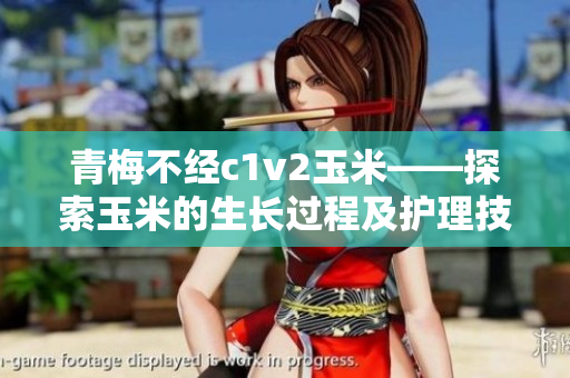 青梅不经c1v2玉米——探索玉米的生长过程及护理技巧