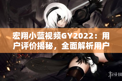 宏翔小蓝视频GY2022：用户评价揭秘，全面解析用户体验及功能优劣