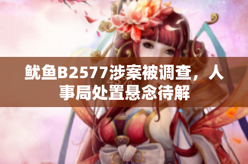 鱿鱼B2577涉案被调查，人事局处置悬念待解