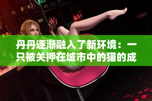 丹丹逐渐融入了新环境：一只被关押在城市中的猫的成长经历