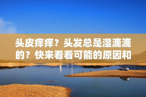 头皮痒痒？头发总是湿漉漉的？快来看看可能的原因和解决方法！
