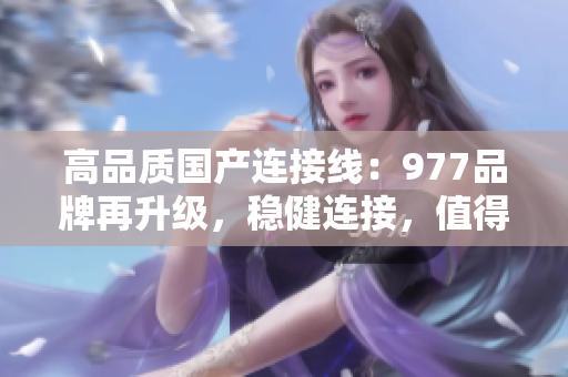高品质国产连接线：977品牌再升级，稳健连接，值得信赖