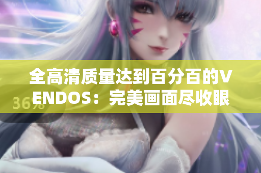 全高清质量达到百分百的VENDOS：完美画面尽收眼底