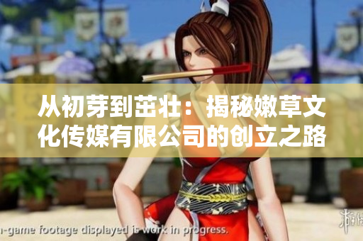 从初芽到茁壮：揭秘嫩草文化传媒有限公司的创立之路