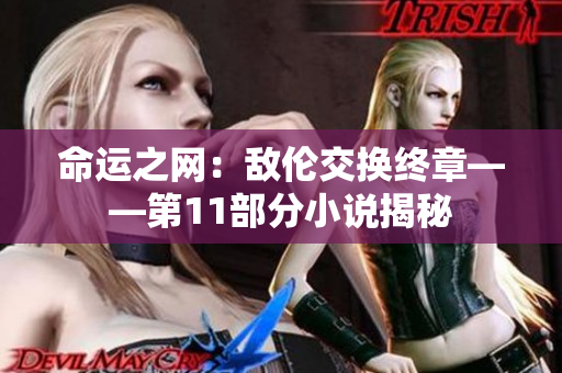 命运之网：敌伦交换终章——第11部分小说揭秘