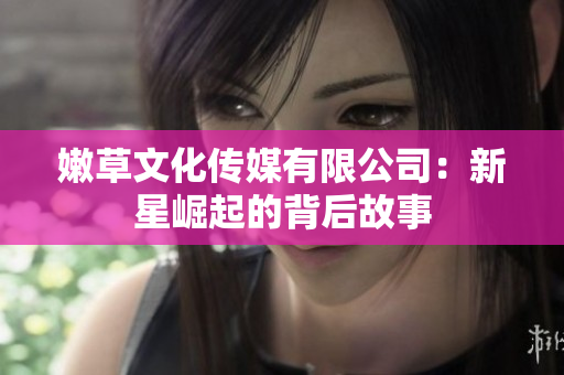 嫩草文化传媒有限公司：新星崛起的背后故事