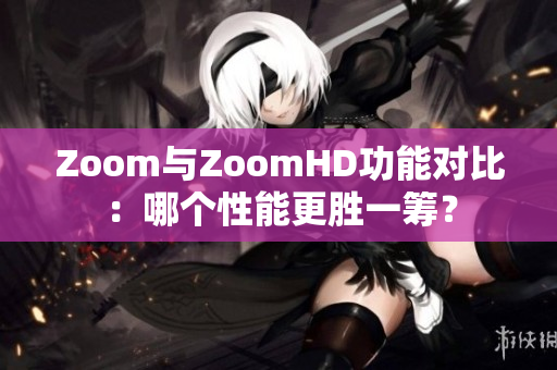 Zoom与ZoomHD功能对比：哪个性能更胜一筹？