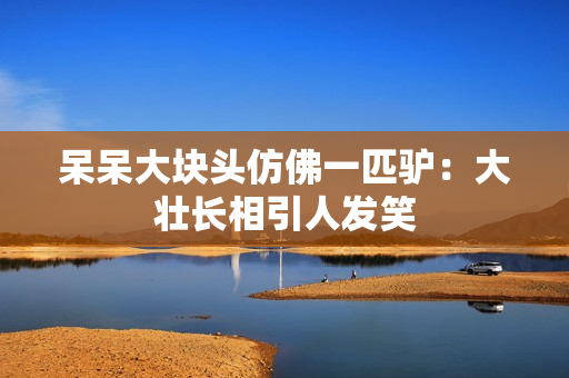 呆呆大块头仿佛一匹驴：大壮长相引人发笑