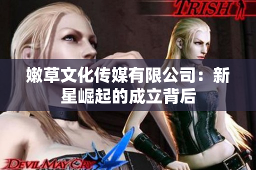嫩草文化传媒有限公司：新星崛起的成立背后