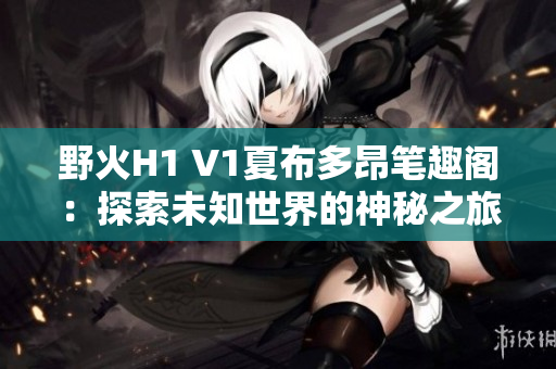 野火H1 V1夏布多昂笔趣阁：探索未知世界的神秘之旅