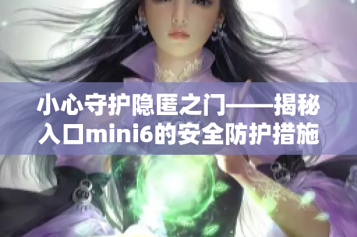 小心守护隐匿之门——揭秘入口mini6的安全防护措施