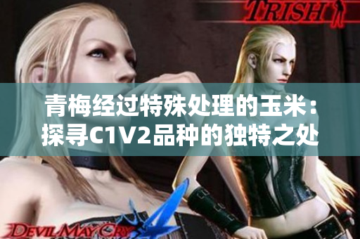 青梅经过特殊处理的玉米：探寻C1V2品种的独特之处