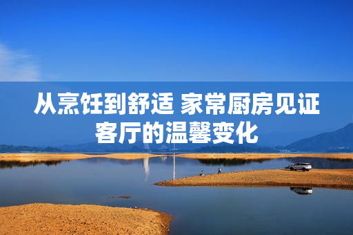 从烹饪到舒适 家常厨房见证客厅的温馨变化