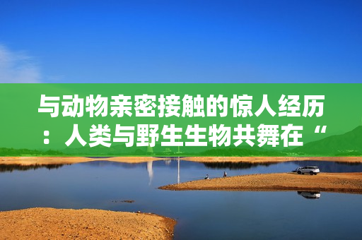 与动物亲密接触的惊人经历：人类与野生生物共舞在“钱里”