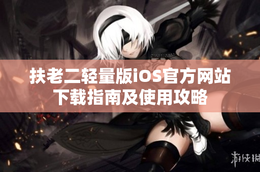 扶老二轻量版iOS官方网站下载指南及使用攻略
